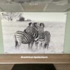 Keuken met aluminium spatplaat met Zebra's