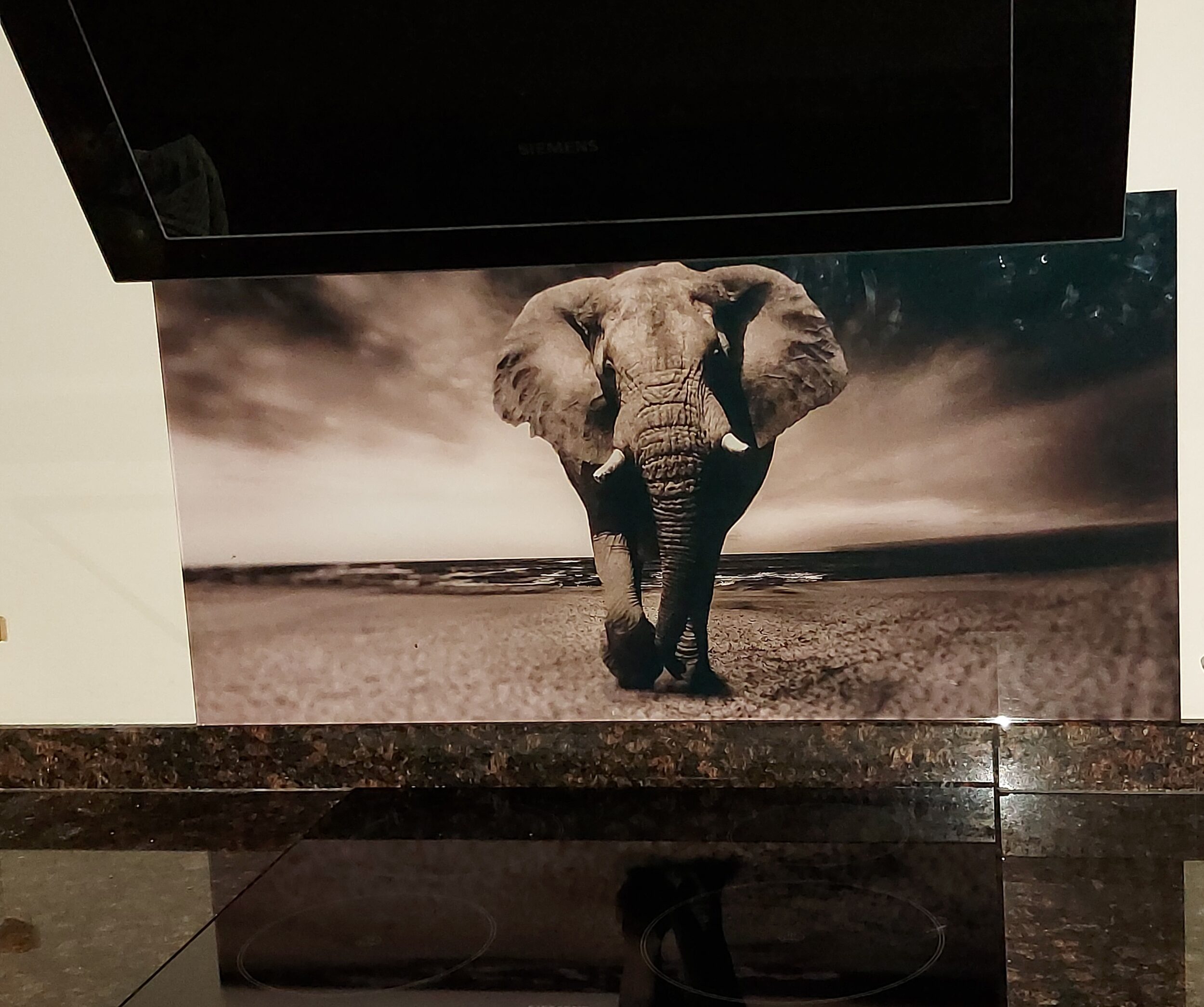 Spatplaat met fantastische olifant in zwart-wit