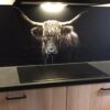 Schotse_hooglander_zwart-wit_brede_keukenachterwand