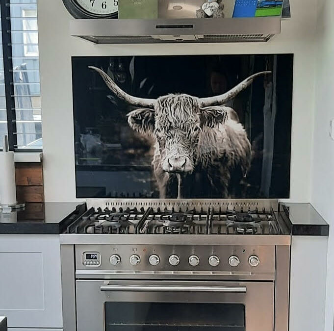 Spatplaat met Schotse hooglander