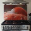 Backsplash met flamingo