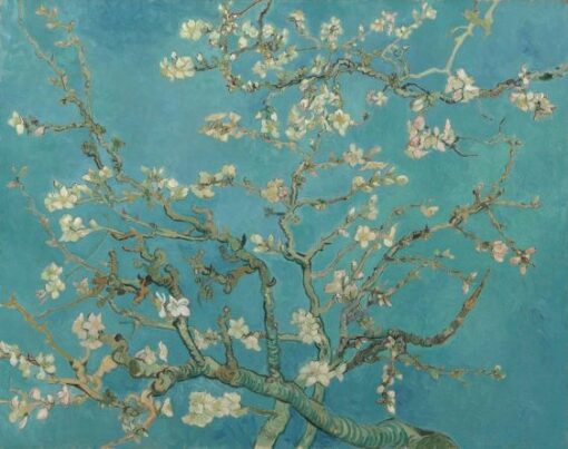 Bloesem Vincent Van Gogh