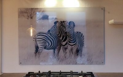 Spatplaat van acrylglas met zebra’s