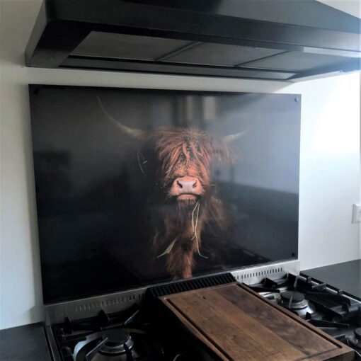 keuken_spatscherm_Schotse_hooglander