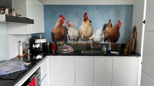 Keuken achterwand met kippen zonder boren met stopcontacten
