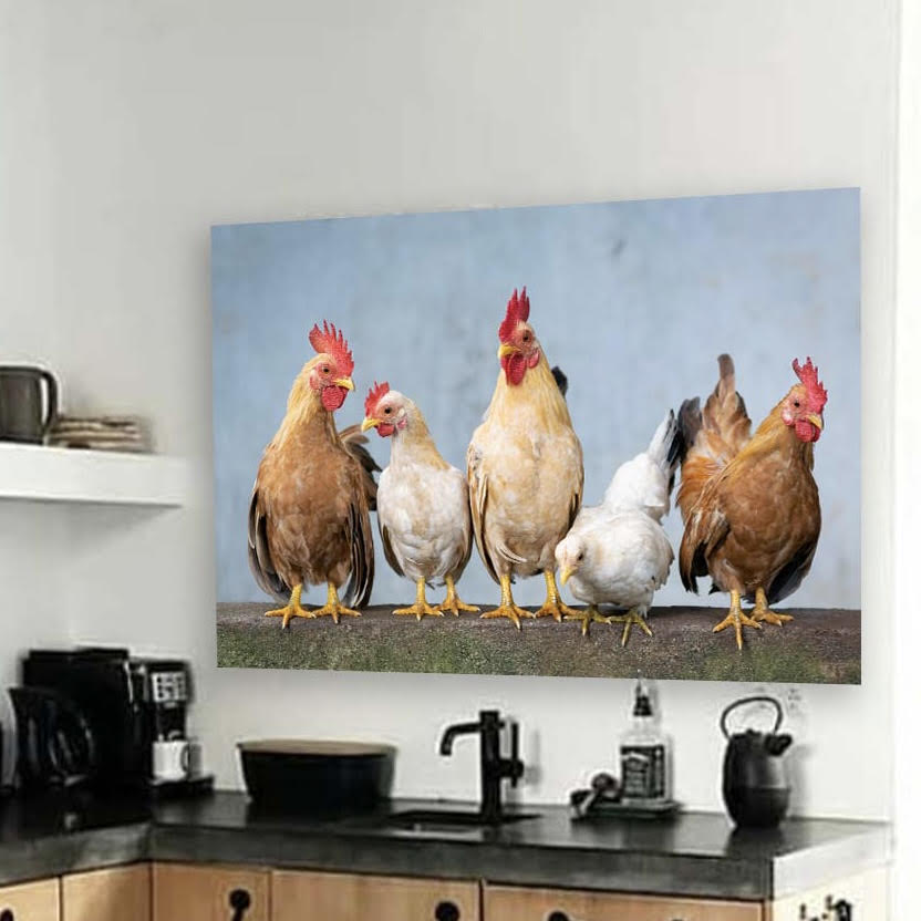 Buitenland koper Roei uit Keukenspatscherm met kippen - Kunst in je keuken
