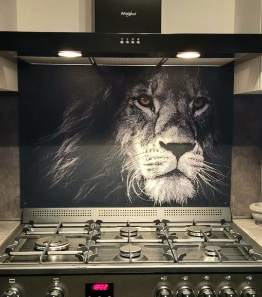 Keuken-achterwand-met-leeuw