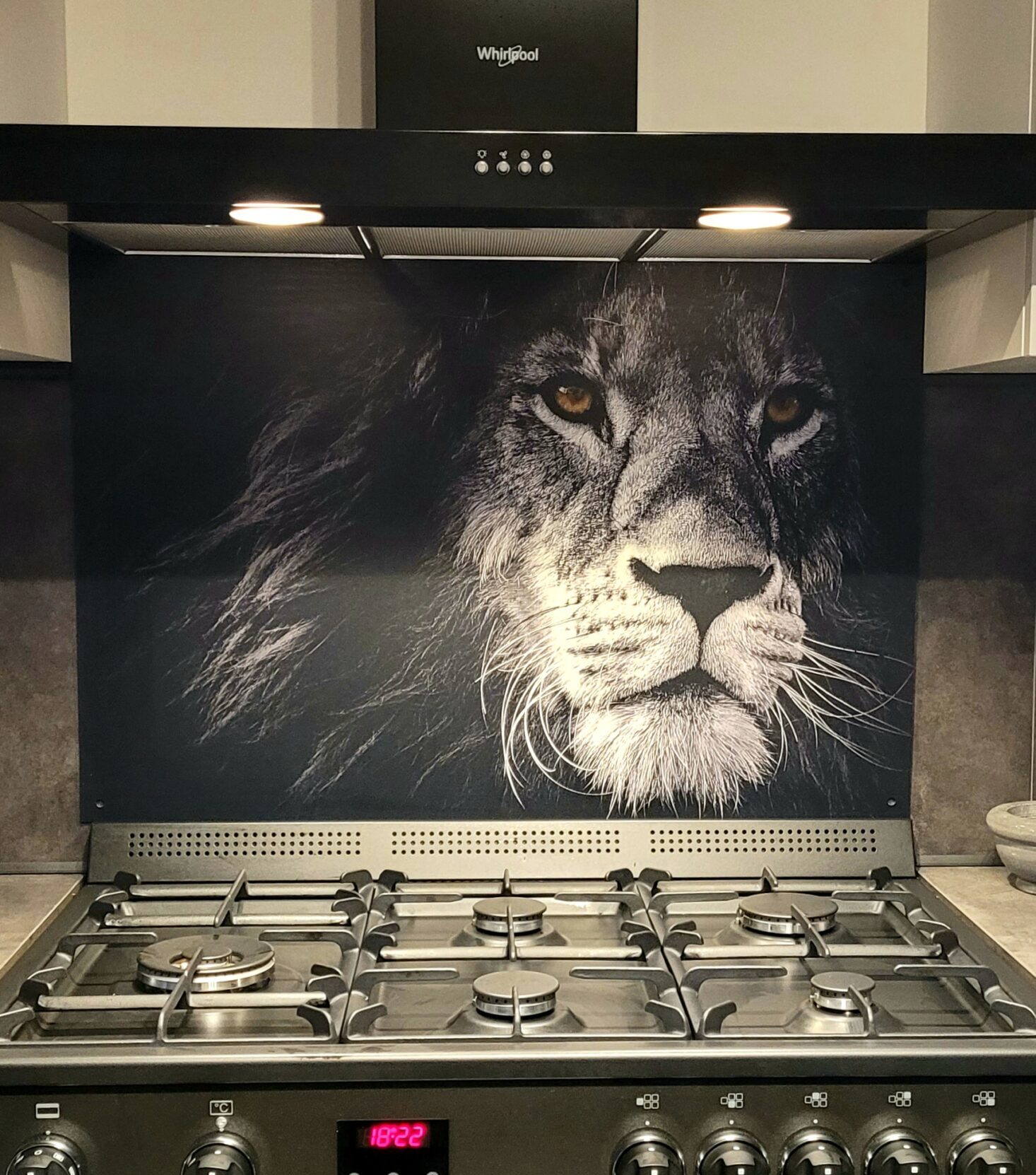 Keuken achterwand met leeuw