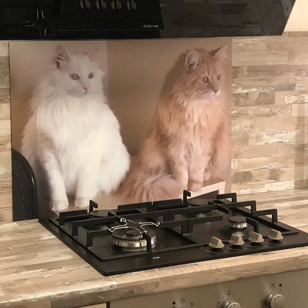 Backsplash met prachtige katten
