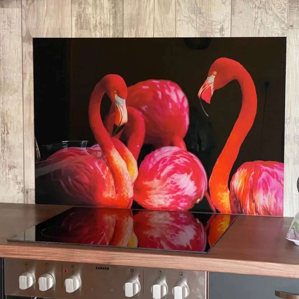 Flamingos in België