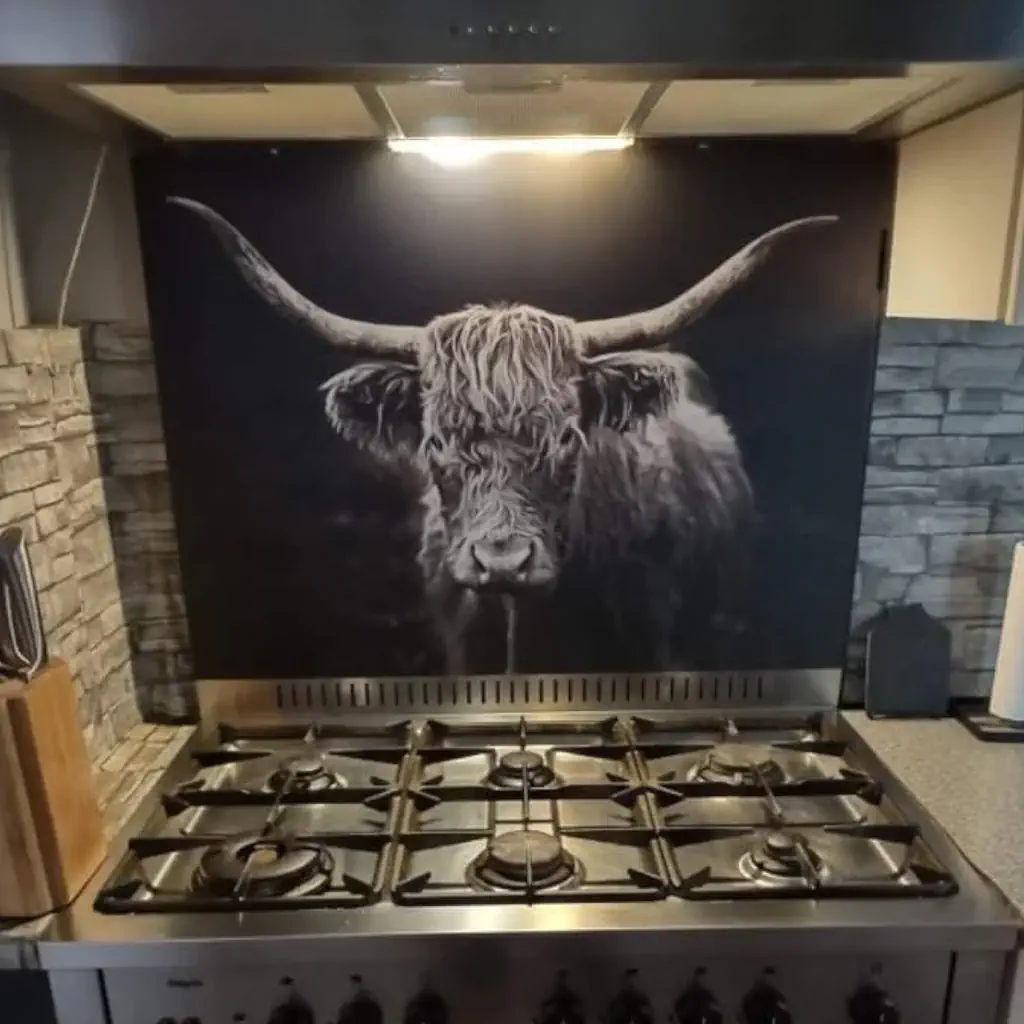 Schotse hooglander op aluminium spatscherm
