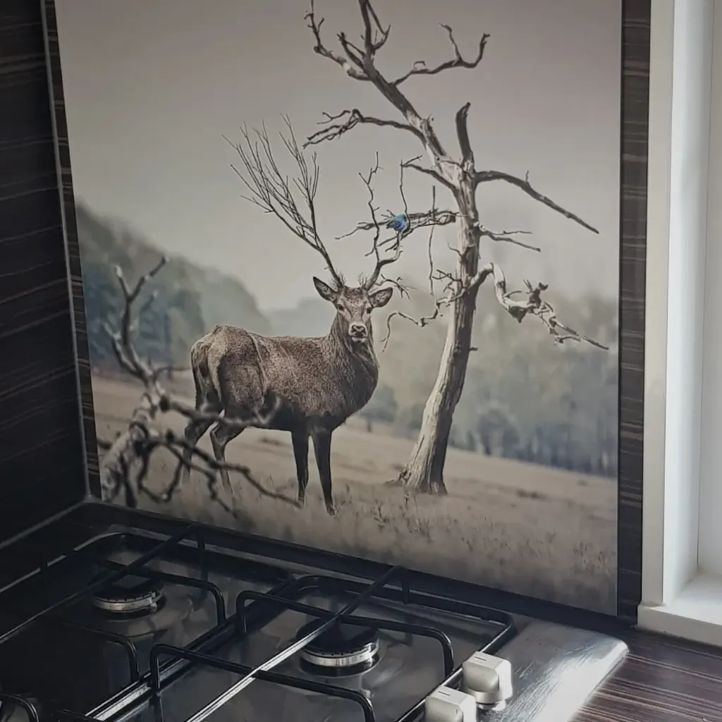 Spatscherm met hert en vogeltje