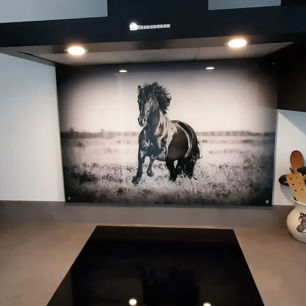 Spatscherm met prachtig eigen paard in zwart wit