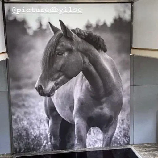 Spatscherm voor je Ikea keuken_02