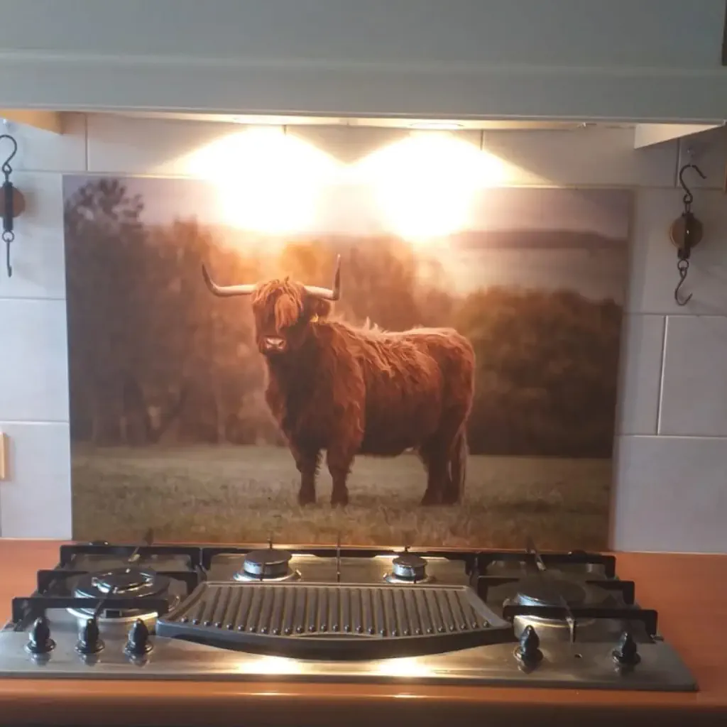 Spatwand met Schotse hooglander