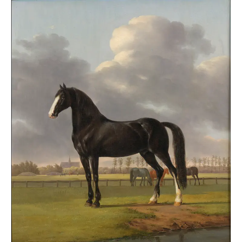 De Vlugge van Adriaan de Hoop door Anthony Oberman de-vlugge-van-adriaan-de-hoop