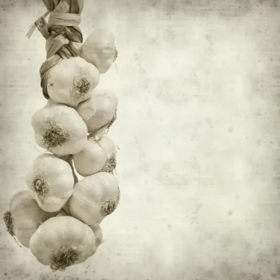 een-streng-knoflook