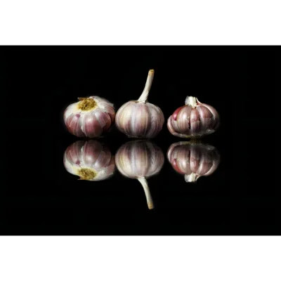 geschilderd-knoflook-op een zwarte-achtergrond