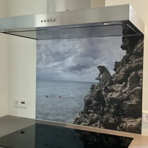 keukenachterwand met eigen foto 01