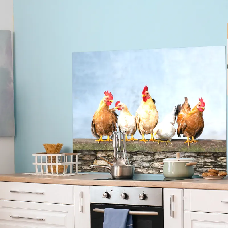 Kippen op een Muur Kippen op een Muur - Afbeelding 2