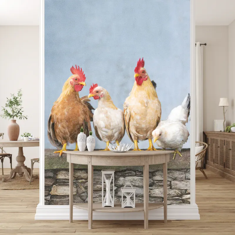 Kippen op een Muur Kippen op een Muur - Afbeelding 4