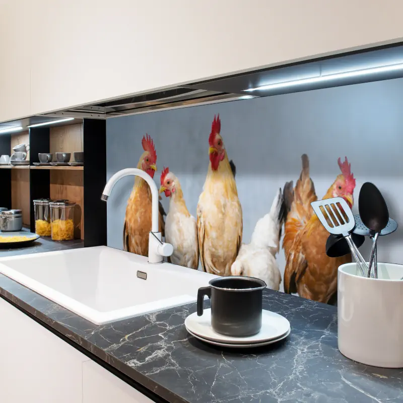 Kippen op een Muur Kippen op een Muur - Afbeelding 6