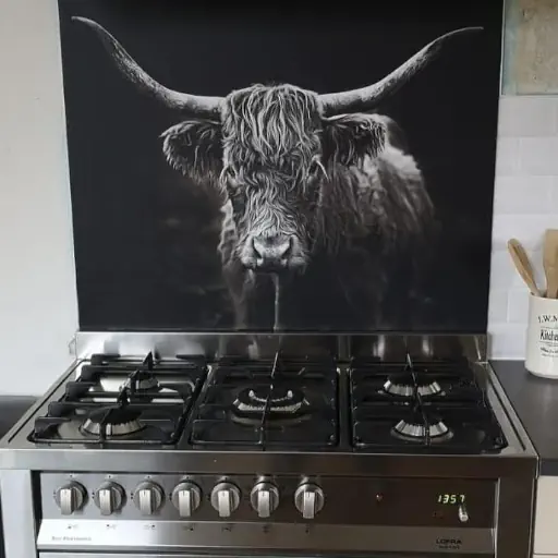 spatscherm keuken 01