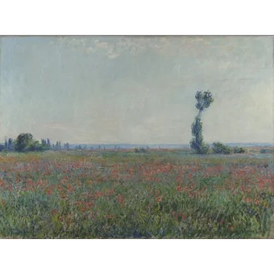 veld-met-klaprozen-van-monet