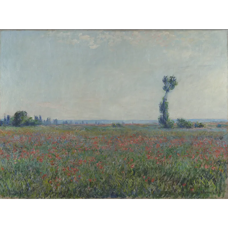 Veld met Klaprozen van Monet veld-met-klaprozen-van-monet