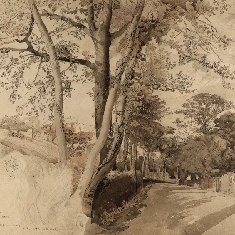 bomen-in-een-laantje-john-ruskin bomen in een laantje john ruskin