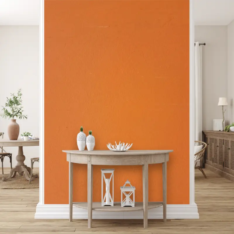 Oranje Verfrollerlook het-kleurenwiel-oranje-verfroller-look-03
