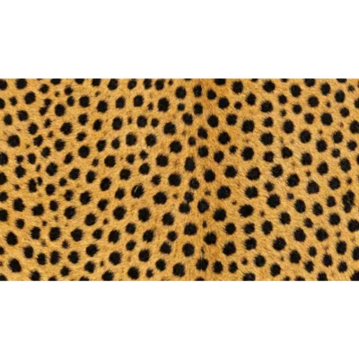 cheeta-huid-print-type-01