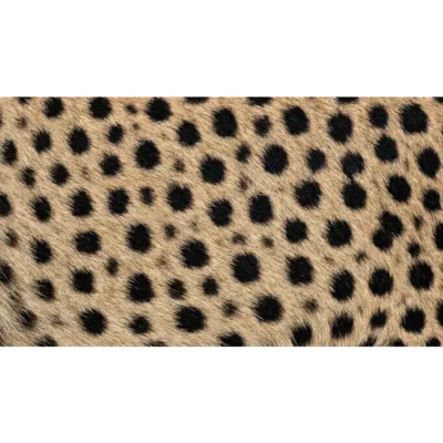 cheeta-huid-print-type-02