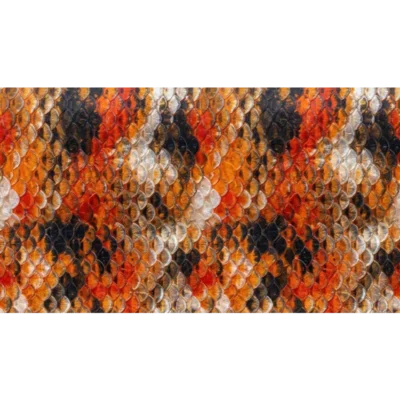 koi-vis-print-type-01